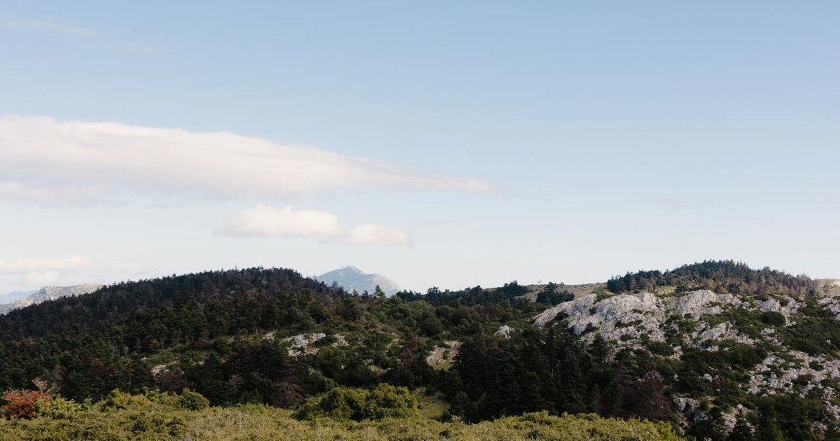 Hiker walking along stone path through Corfu olive groves in spring